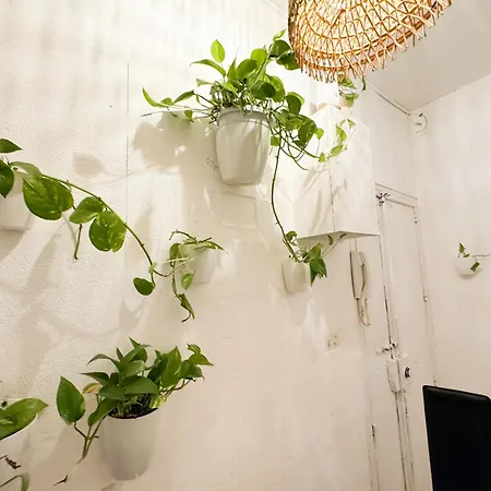 Apartment Kalma - Retreat In The Heart Of Old Town